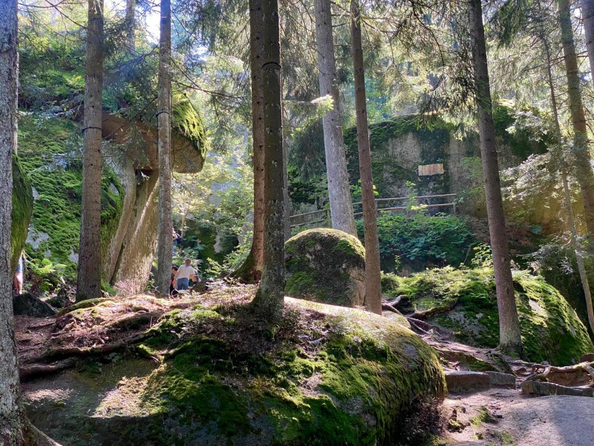 Ferienwohnung Oxana Im Naturpark Fichtelgebirge Schonwald (Bavaria) Exterior foto