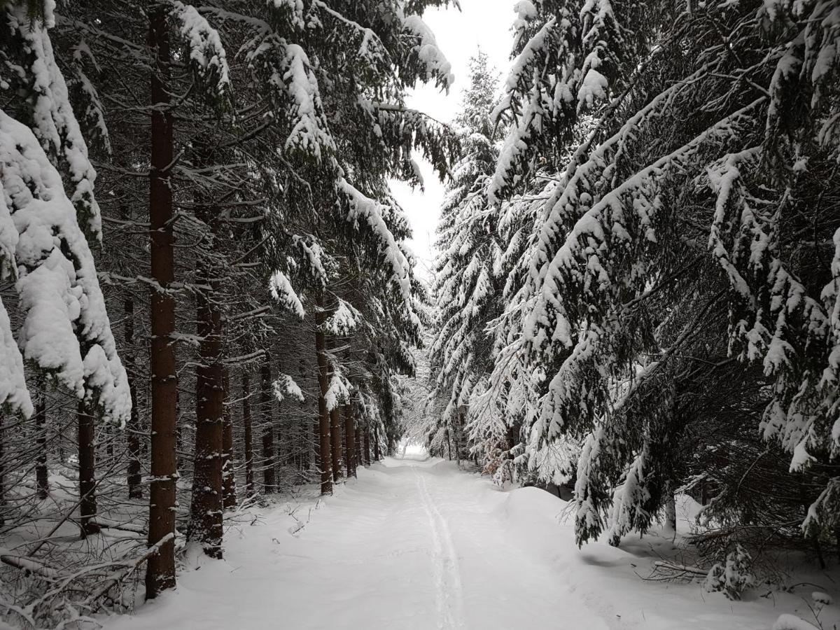 Ferienwohnung Oxana Im Naturpark Fichtelgebirge Schonwald (Bavaria) Exterior foto